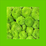 Green Flowers